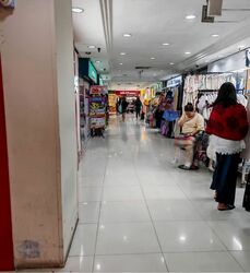 Lucky Plaza (D9), Shop House #558262771